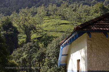 Nilgiri-Blue-Mountain-Train, Mettupalayam - Coonoor_DSC5418_H600